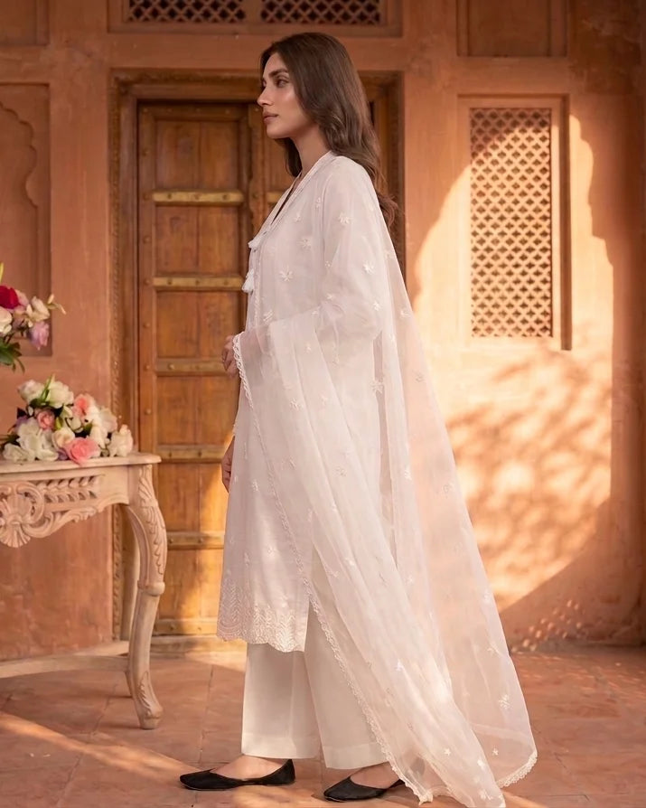 Embroidered 3pc dress – 6256